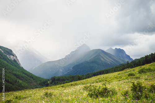 Dramatic vivid mountain landscape with green forest under pointed peak among rainy low clouds. Scenic alpine view to sharp mountain pinnacle under cloudy sky in overcast weather. Mountains scenery.