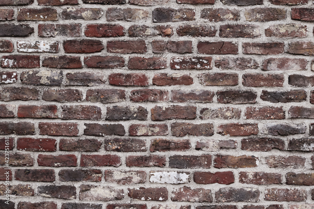Fototapeta premium レンガ 背景 素材 テクスチャー バックグランド