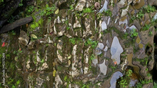 Top view of a rockbed that has been cut in lines due to years of wearance from the river and ocean photo