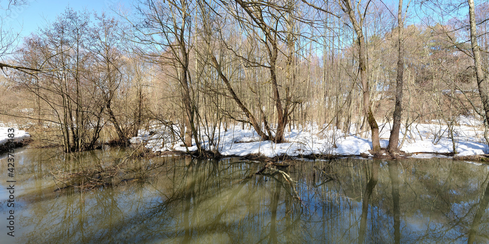 Obraz premium Spring walk through the forest, beautiful panorama.