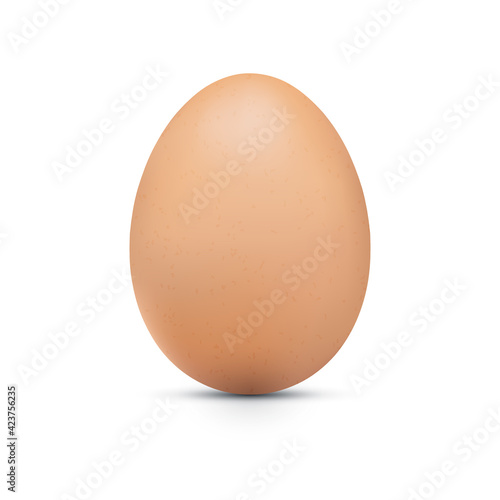 Realistic chicken brown egg with shadow. Closeup 3d whole hen egg isolated on white background. Vector illustration EPS10