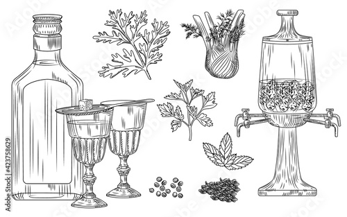 Set of absinthe. Cocktail glass and bottle, spoon, sugar, fountain, wormwood, fennel, parsley, dill, mint, coriander, anise, ice. Engraving vintage style.