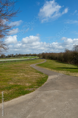 Walk over Goodwoo estate photo