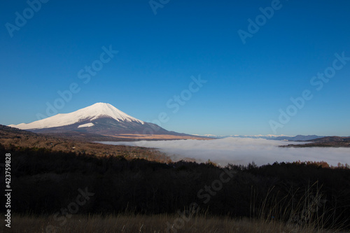 mount hood state