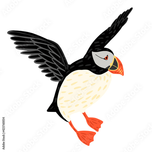 Puffin flying isolated on white background. Cute seabird lives by the ocean, has black and white color, has orange beak and legs. In doodle style