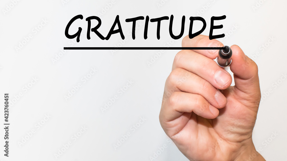 the hand writes text GRATITUDE with a marker on a white background. business concept the hand writes text GRATITUDE with a marker on a white background. business concept