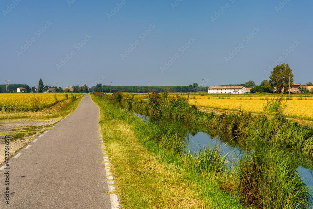 Landscape along the canal of Bereguardo at summer