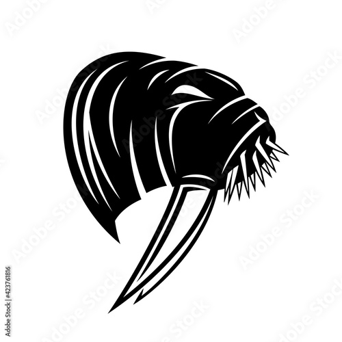 Illustration with angry animal walrus icon isolated on white background.