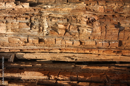 old wood texture