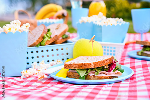 Lunch in the park on the green grass. Summer sunny day and picnic basket. Popcorn and sandwiches for a snack outdoors in nature. in bright plastic dishes . Copy space