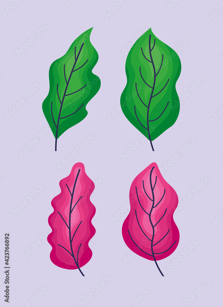 Obraz premium four leaves icons