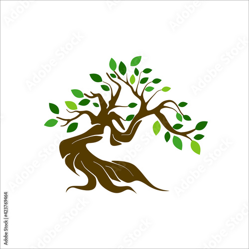 olive tree logo
