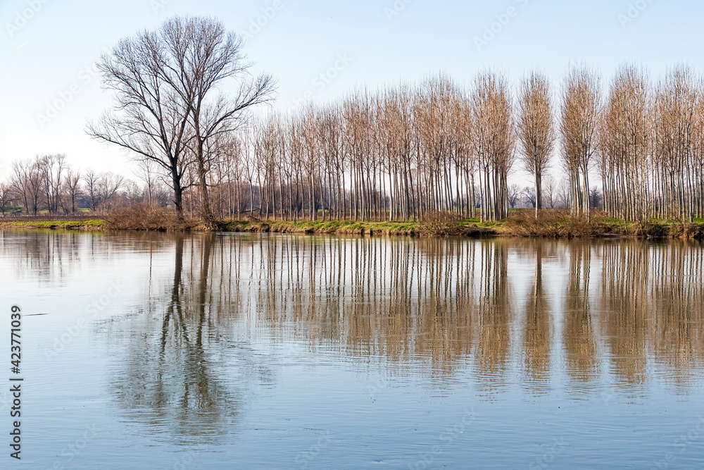 il fiume si fa specchio