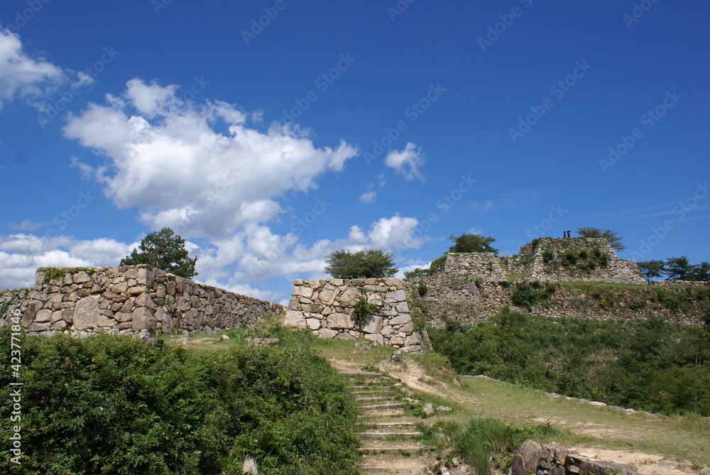 ruins of the fortress