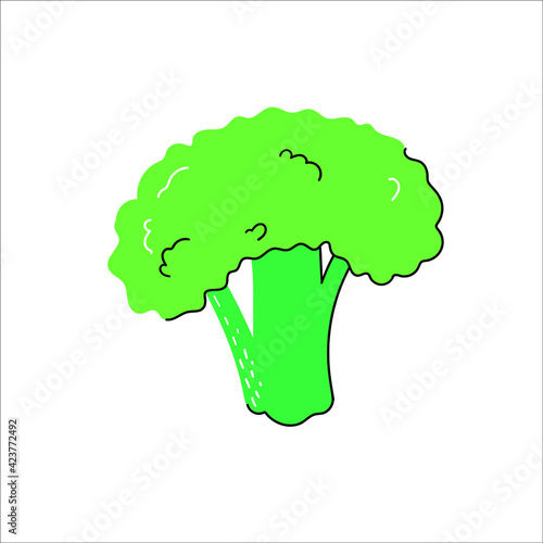 broccoli vector icon isolated on white background. Vector illustration