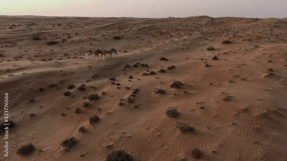 Omani Man crossing empty Desert sand dunes with his caravan of camels - Aerial Low Orbit Tracking shot Omani Man crossing empty Desert sand dunes with his caravan of camels - Aerial Low Orbit Tracking shot
