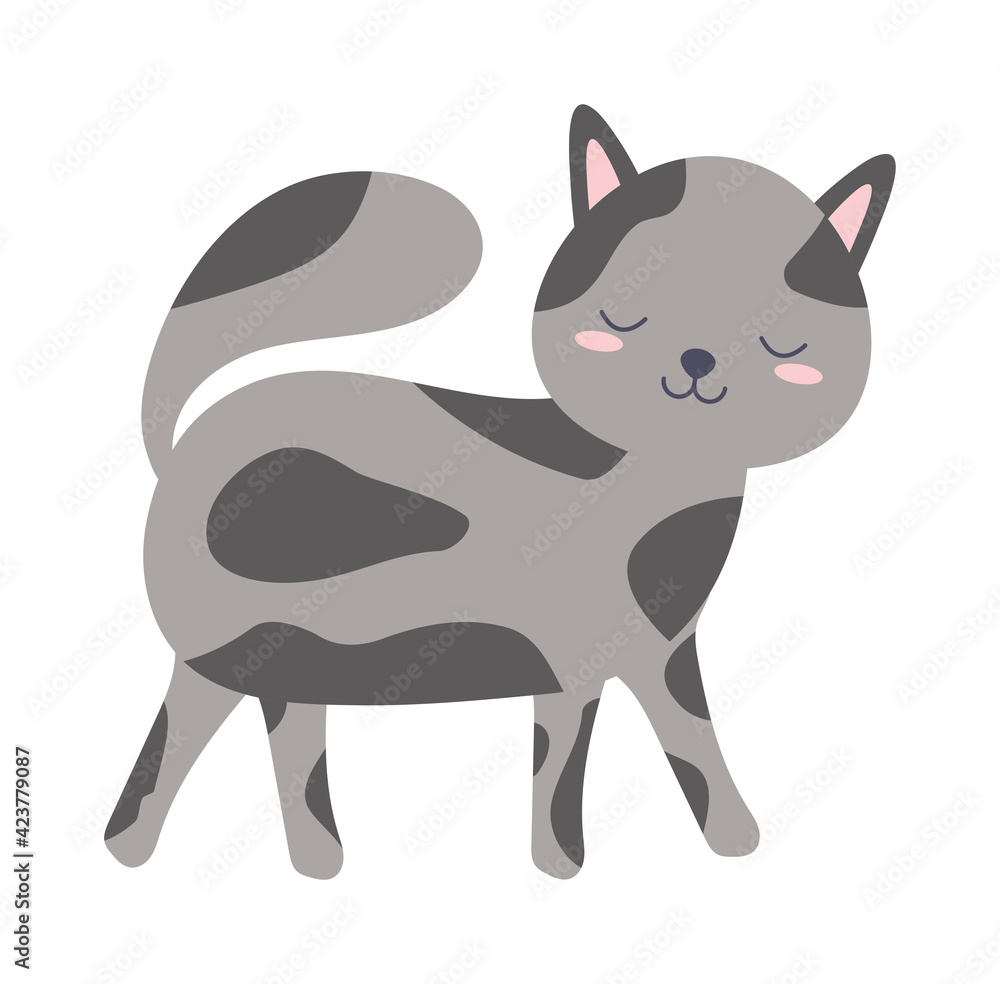 Fototapeta premium gray smiling cat