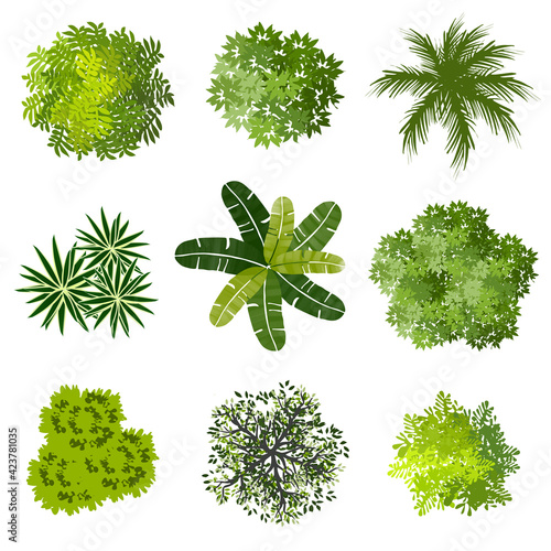 Collection of abstract vector green tree top view isolated on white background  for landscape plan and architecture layout drawing, elements for environment and garden, green grass vector 
