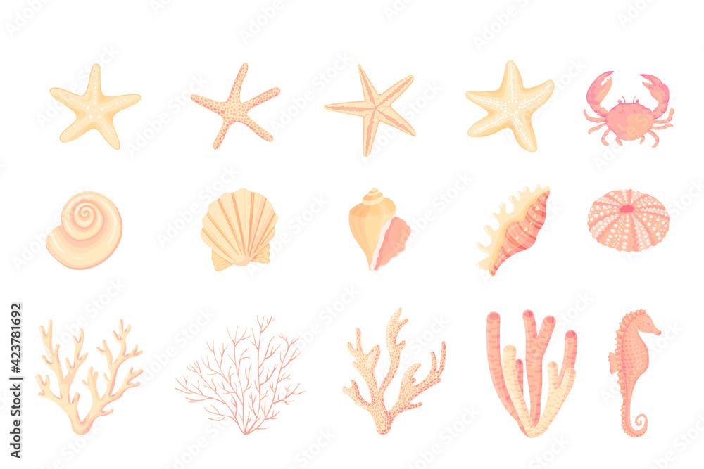Seashells vector set. Collection of flat, cartoon sketches of molluscs sea shells, starfish, sea urchin, seahorse, hippocampus, crab, coral. Trendy coral reef under water collection isolated on white Seashells vector set. Collection of flat, cartoon sketches of molluscs sea shells, starfish, sea urchin, seahorse, hippocampus, crab, coral. Trendy coral reef under water collection isolated on white