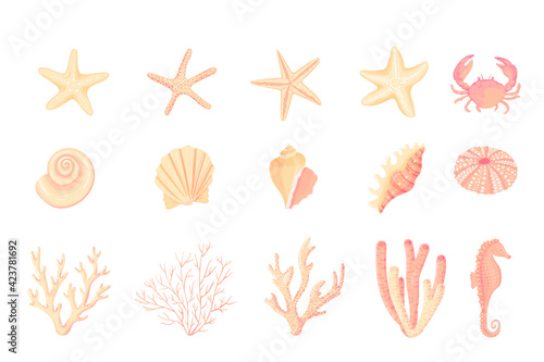 Seashells vector set. Collection of flat, cartoon sketches of molluscs sea shells, starfish, sea urchin, seahorse, hippocampus, crab, coral. Trendy coral reef under water collection isolated on white