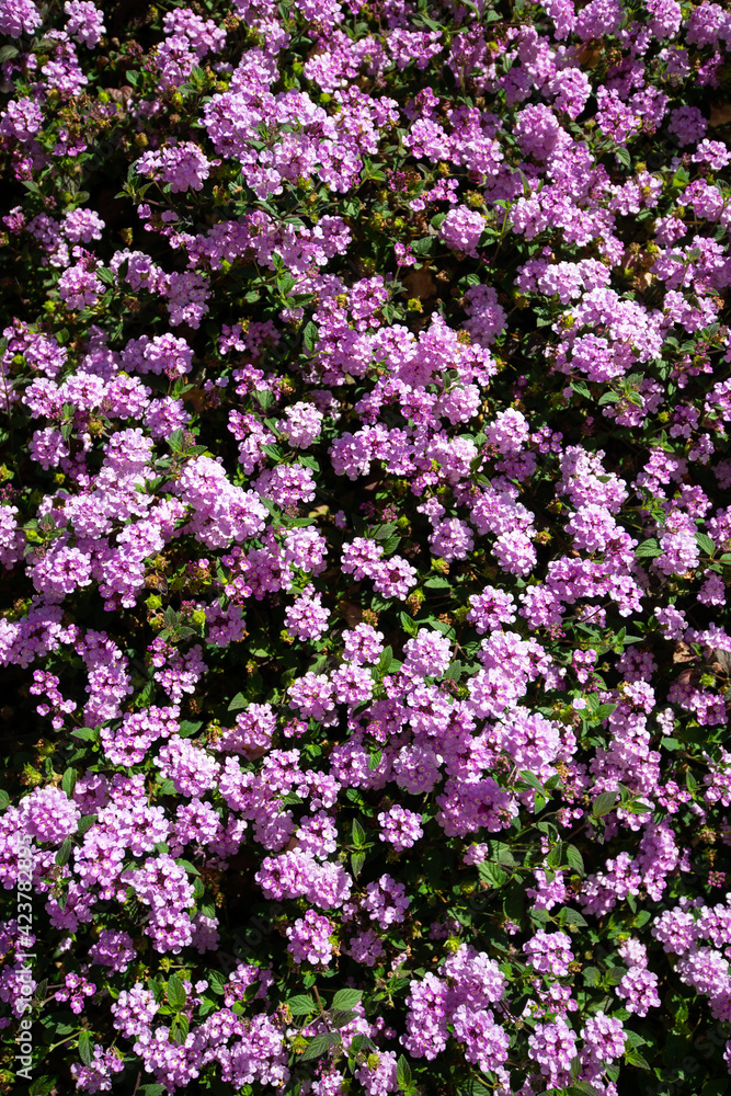 Background from spring colors Background from spring colors