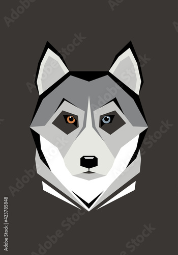 Dog. Breed of dogs. Husky. Northern sled dog. Geometric illustration