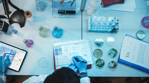 Top Down View of a Medical Research Scientist in Blue Rubber Gloves Working Behind Table in a Modern Laboratory. Doctors Using Digital Tablet, Compare Samples and Write Down Data. photo