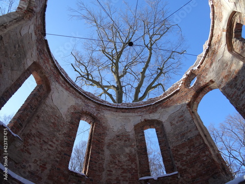 Old ruins from bricks with tree in Pokoj in Poland. photo