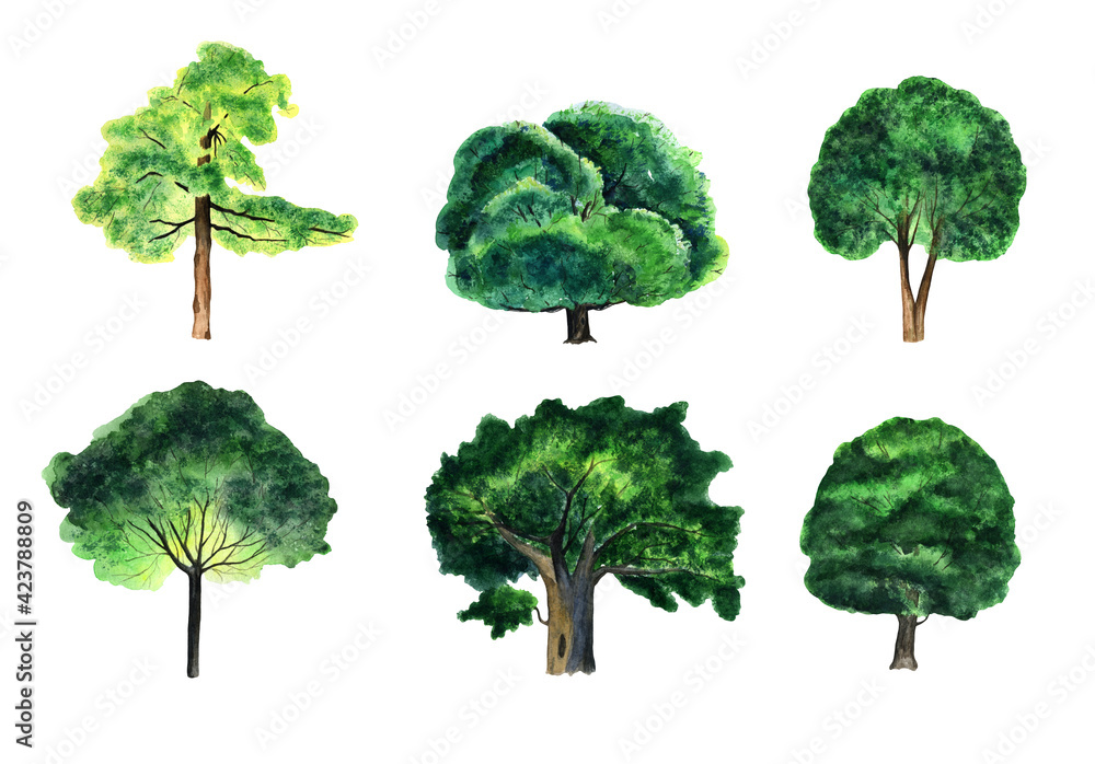 Fototapeta premium watercolor set green trees of different sizes