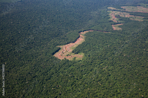 The atmosphere from above. Aerial view of the Amazon jungle in Brazil. The tropical rainforest trees and deforestation traces. Beautiful green foliage texture and pattern.