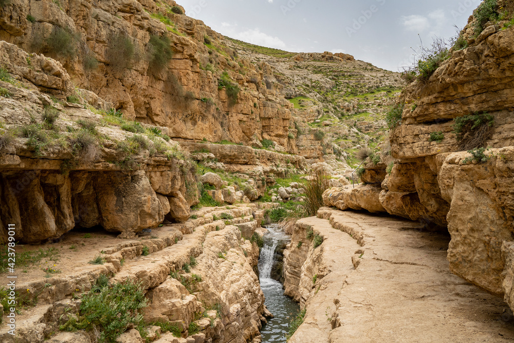 Prat Brook in the Judea Desert, Israel