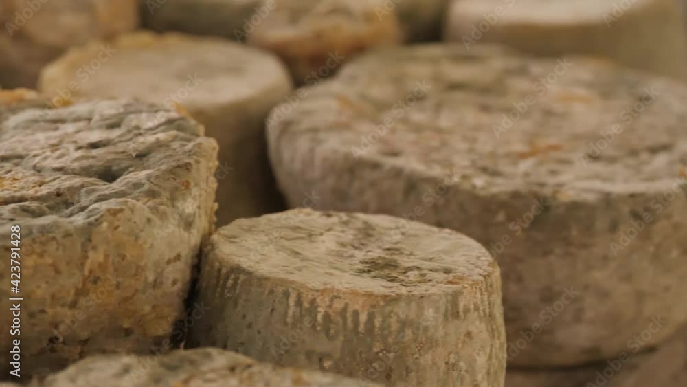Cheese Dairy Factory Pan Very Aged Cheese Heads In Italy Cheese Dairy Factory Pan Very Aged Cheese Heads In Italy