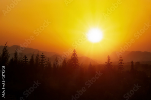 Landscape of sunset scene over silhouette mountain and pine tree forest
