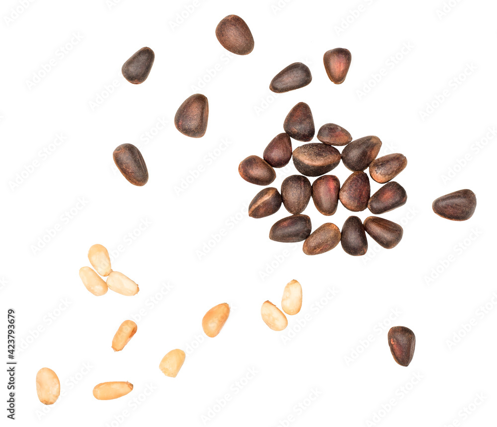 Pine nuts isolated on the whitebackground, top view Pine nuts isolated on the whitebackground, top view