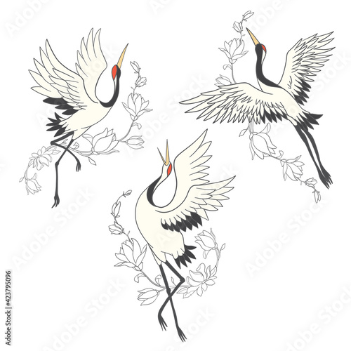 Vector set of illustrations bird crane. White stork .