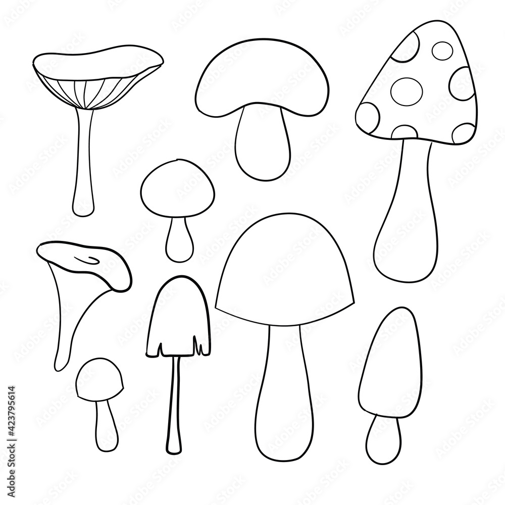 Set of mushrooms, doodle style, sketch, vector. Fox. White mushroom. Milk mushroom. Mushrooms. Set of mushrooms, doodle style, sketch, vector. Fox. White mushroom. Milk mushroom. Mushrooms.