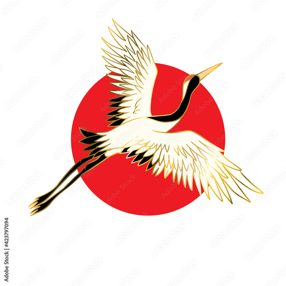Fototapeta premium Japanese crane bird isolate on a white background.