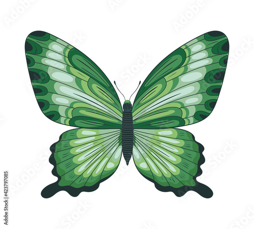 green butterfly icon