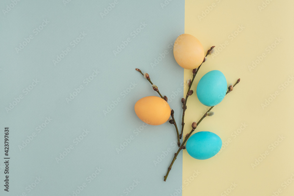 Easter background with pastel colored eggs and willow twigs. Bouquet of Easter eggs and pussy willow. Two-color background of pale blue and pale yellow with space for text, gray view, flat lay. Happy
