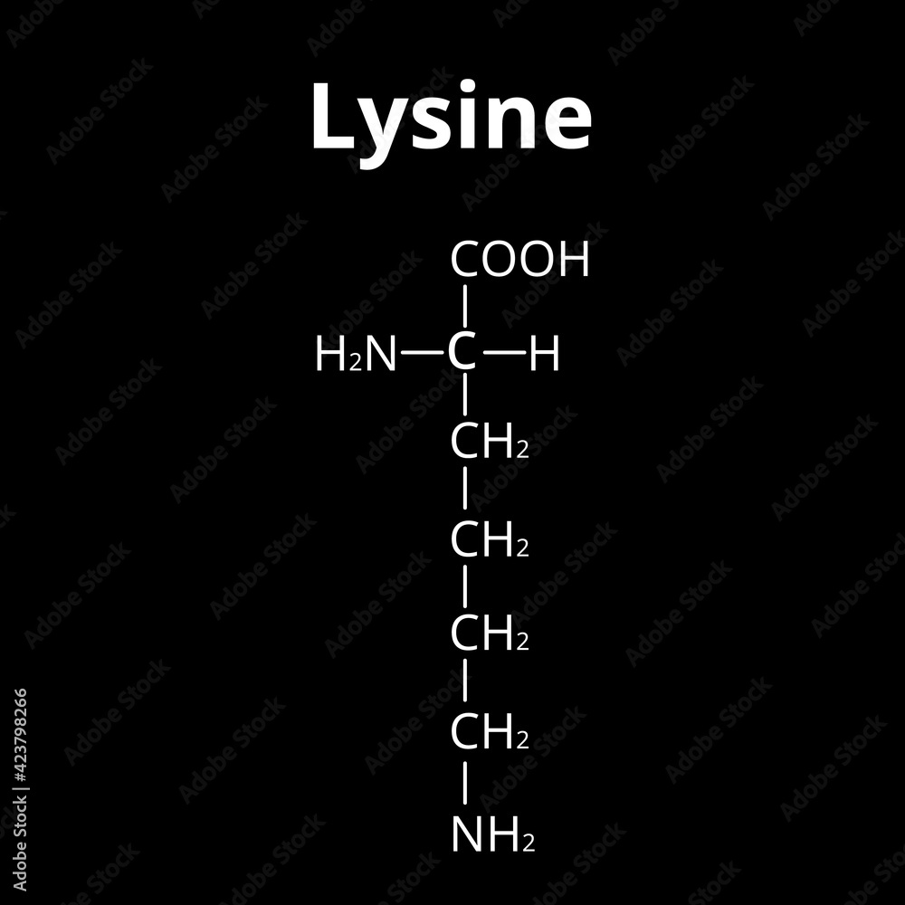 Amino acid Lysine. Chemical molecular formula Lysine is an amino acid