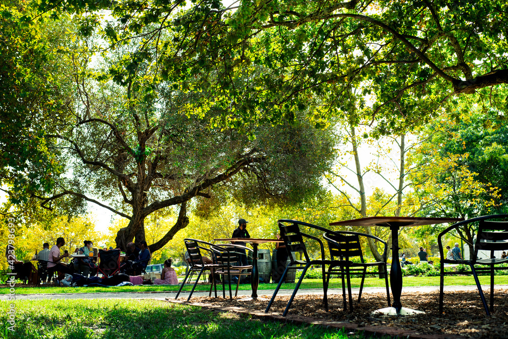 tables and chairs under oak tree