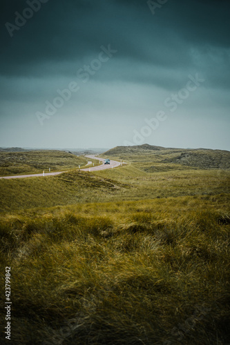 Dramatic looking nature countryside view of the fresh green spring meadow and grass beach dunes. Nationalpark Thy in North Jutland in Denmark on the danish Noth sea coast