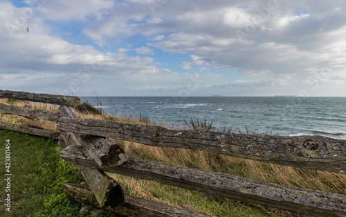 View of the sea and a cedar fence