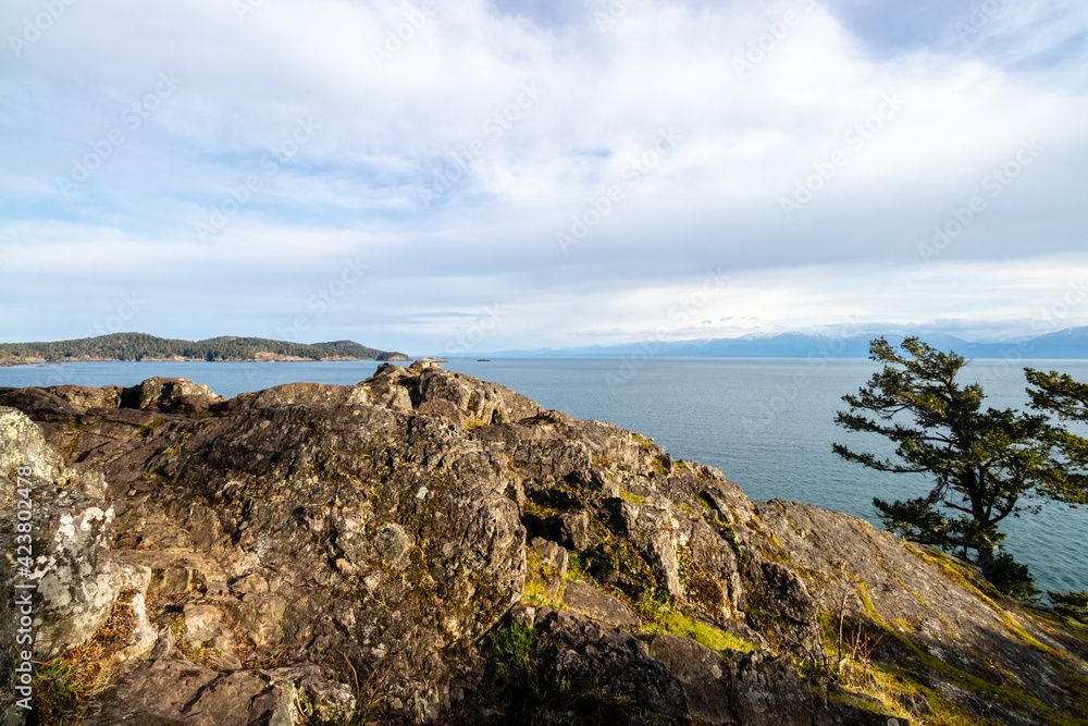 view of the Salish Sea from Creyke Point on Vancouver Island view of the Salish Sea from Creyke Point on Vancouver Island