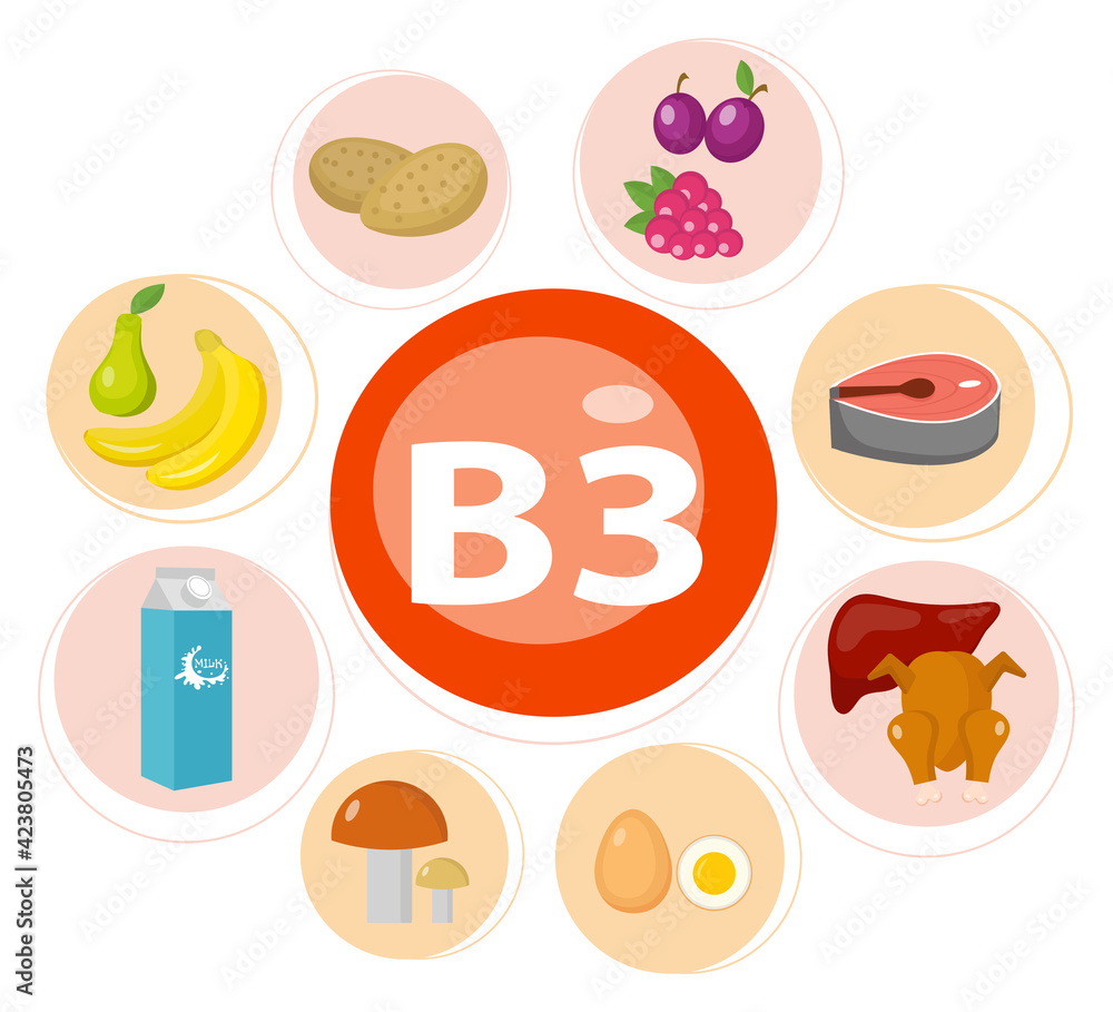 Vitamins and Minerals foods .Vector set of vitamin rich foods. Vitamin B3 meat, spinach, poultry, fish, liver, mushrooms, potatoes and peanuts.