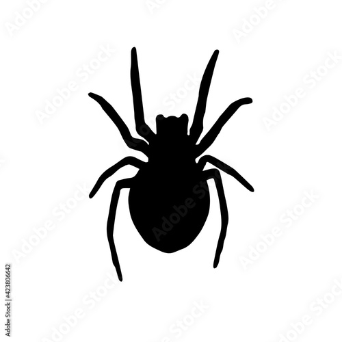 Spider Black Widow. Black bug spider silhouette, isolated white background. Scary Halloween icon, symbol horror, animal arachnid, creepy dangerous insect, arachnophobia fear Vector illustration © alona_s