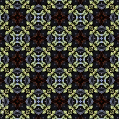 Sukkulente im Mondlicht