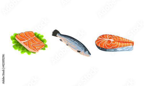 Fresh Salmon Fish Fillet and Steak as Seafood Product Vector Set