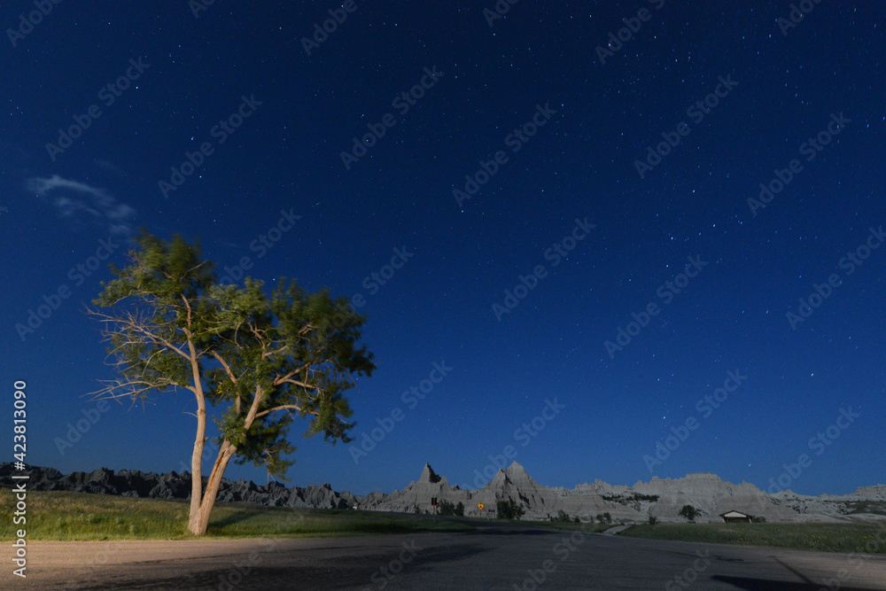 Obraz premium Scenic view of a tree and unusual rock formations at Badlands National Park in South Dakota at night