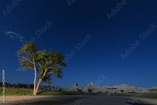 Scenic view of a tree and unusual rock formations at Badlands National Park in South Dakota at night